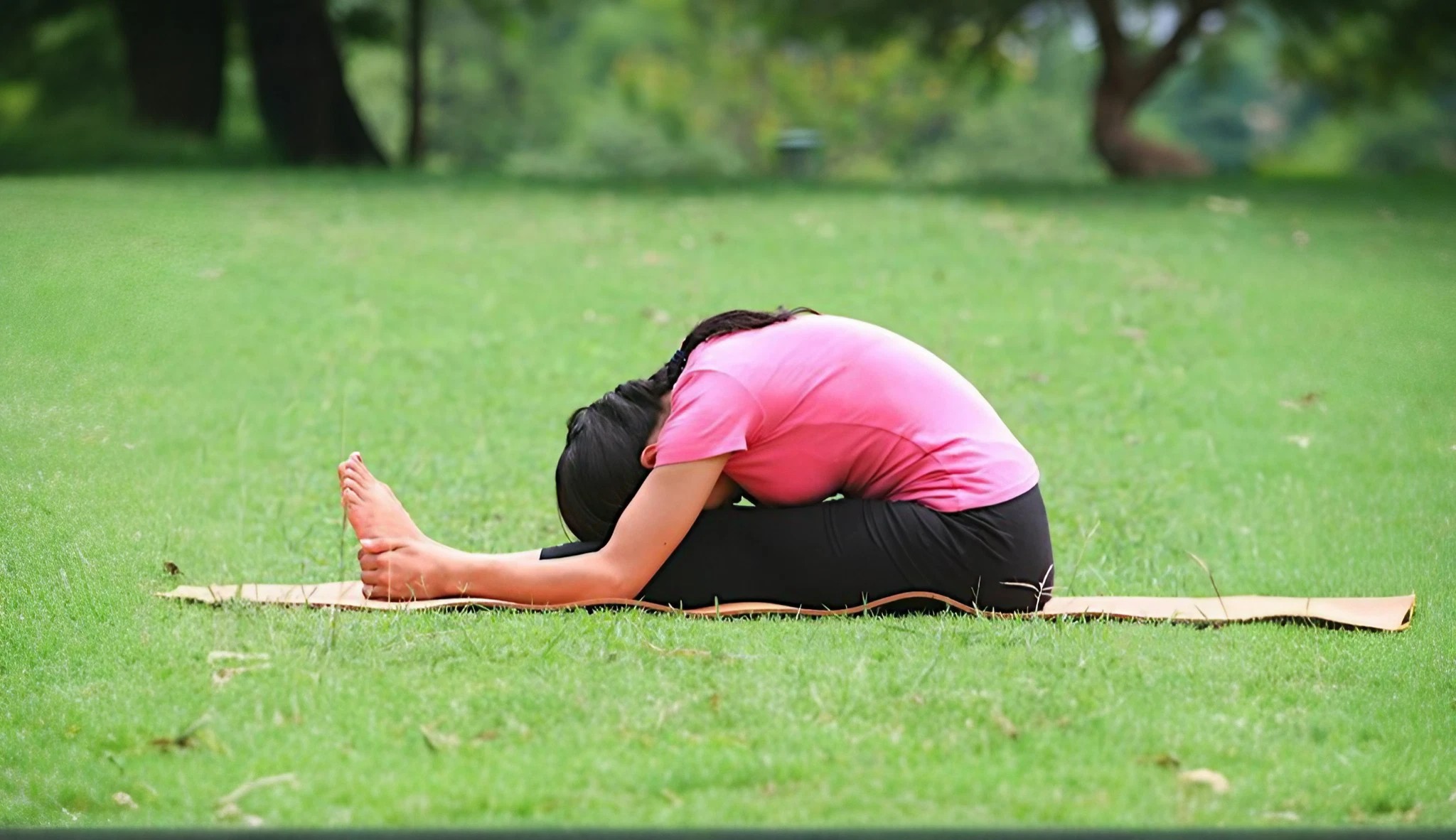 Easy Yoga Asanas for beginners