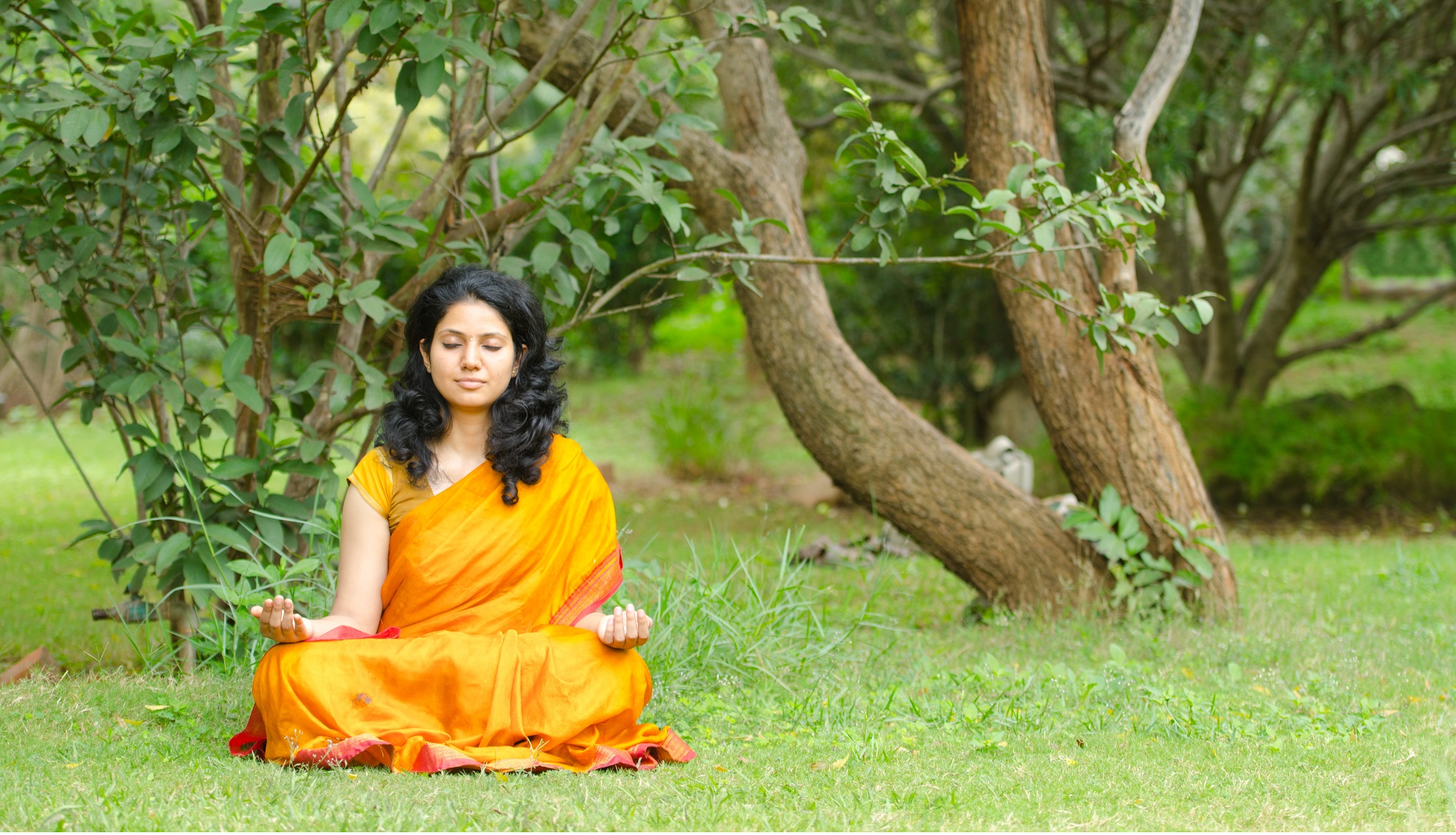 Get every question about Sudarshan Kriya answered