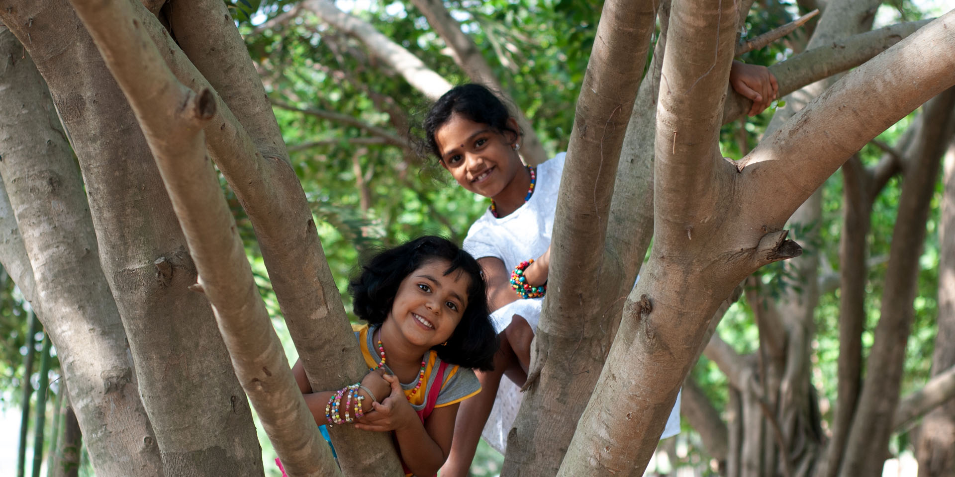 two little girls playing on trees
