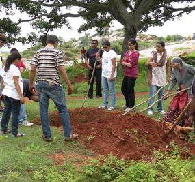 tree_plantation