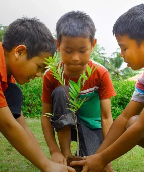 tree planting hero desktop.jpg