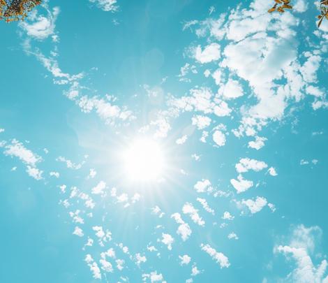 types of space wisdom