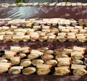 Annam Brahma-GUJRATH-AHAMADABAD-2010-